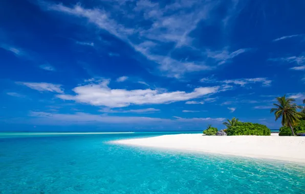 Picture beach, water, palm trees, The Indian ocean
