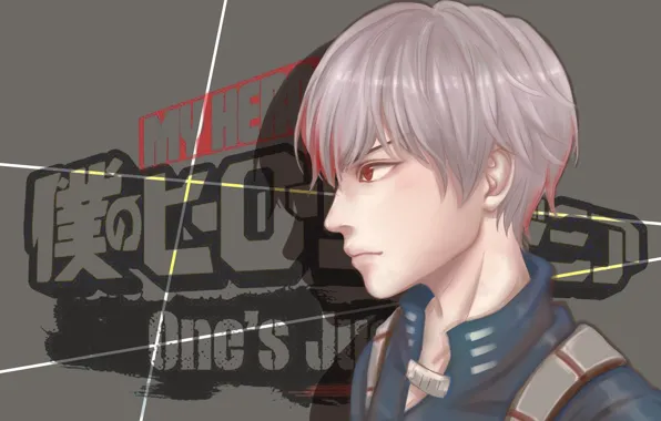 My Hero Academia, Boku No Hero Academy, Todoroki Shoto, My Hero Academy