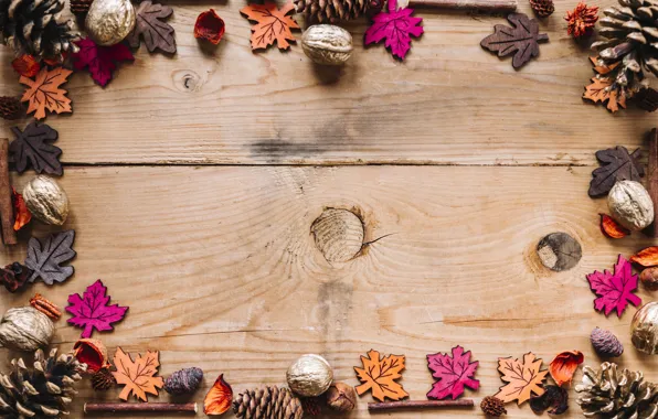 Autumn, leaves, background, tree, colorful, nuts, bumps, wood