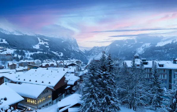 Picture winter, forest, the sky, snow, trees, sunset, mountains, blue