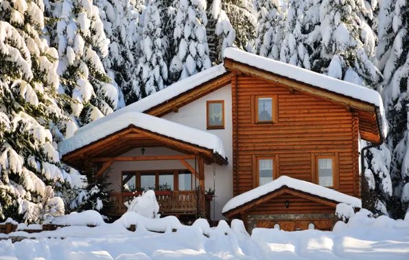 Winter, snow, trees, landscape, nature, winter, tree, house