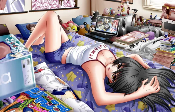Girl, room, bed, art, lies, laptop, manga, figures