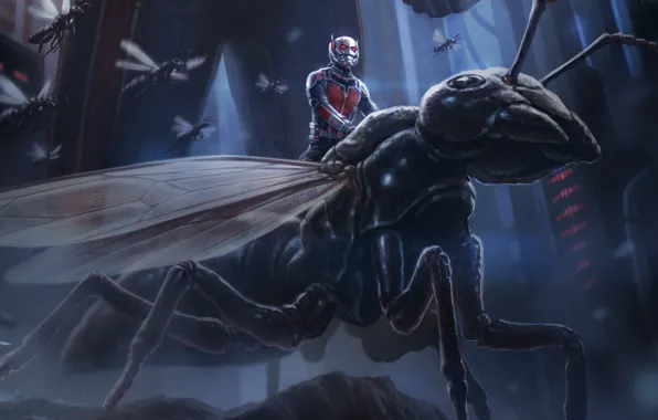 Insects, fiction, figure, art, marvel, comic, Ant-man, Ant-Man