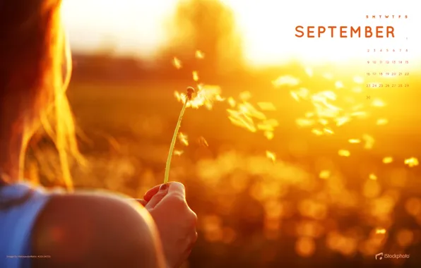 Field, autumn, girl, sunset, flowers, the wind, September