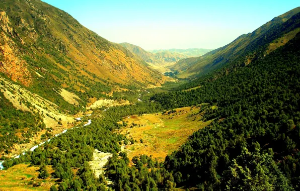 Forest, the sky, landscape, mountains, nature, photo