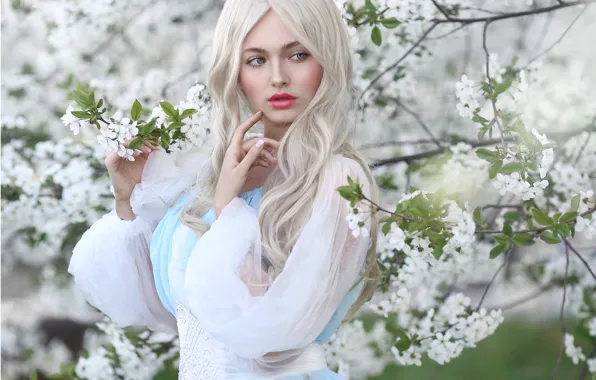 Look, girl, branches, nature, cherry, spring, makeup, dress