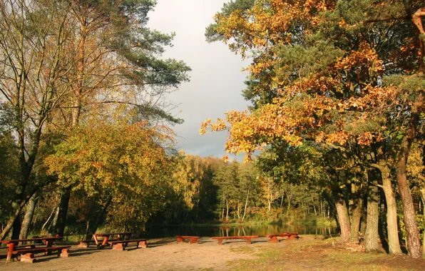 Autumn, forest, trees, pond, Park, shore, benches, tables