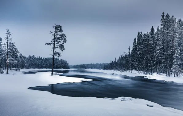 Picture river, forest, winter
