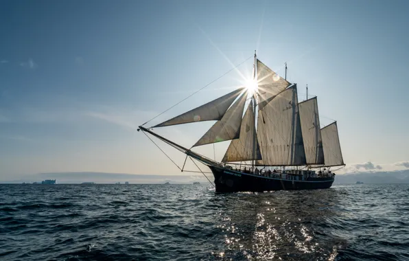 Picture sea, sailboat, schooner, Rembrandt van Rijn