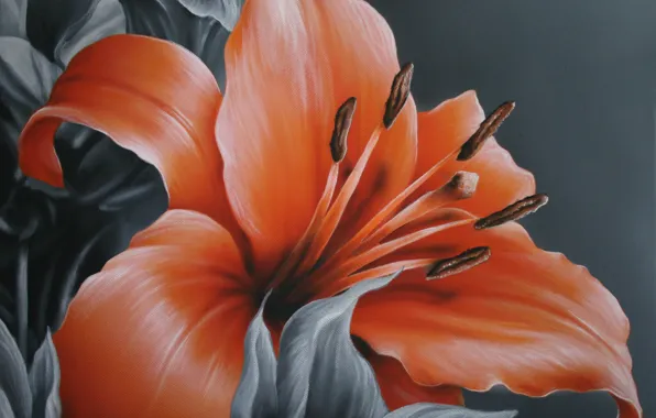 Flower, leaves, grey background, painting