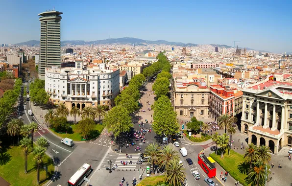 Picture trees, road, home, area, Spain, the view from the top, Barcelona