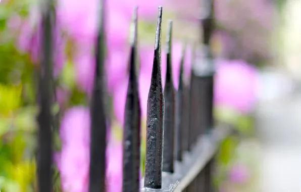 Picture macro, mood, the fence, fence, bokeh