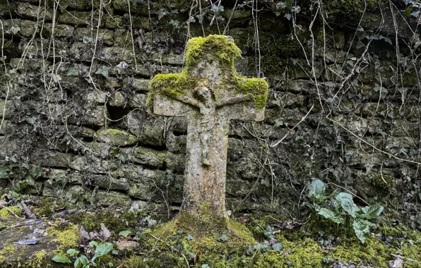 Moss, cross, cemetery