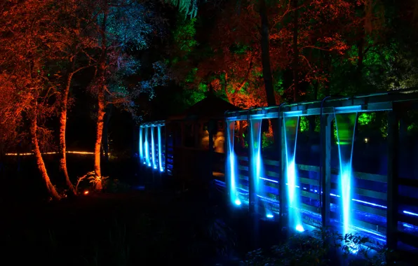 Picture light, trees, night, lights, Park, color