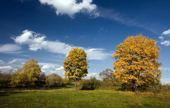 Picture autumn, the sky, trees, nature