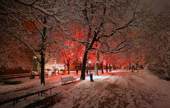 Picture winter, light, snow, trees, nature, Park, the evening