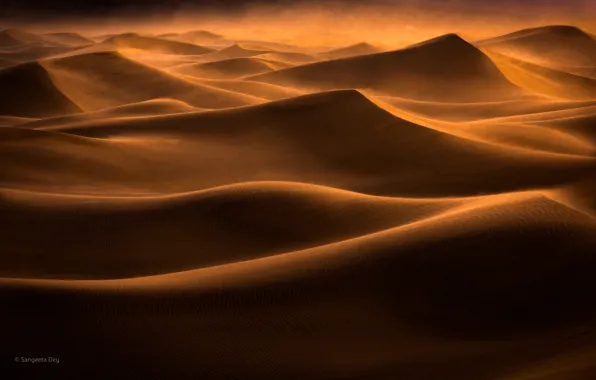 Sand, the dunes, the wind, desert, dunes, Sands