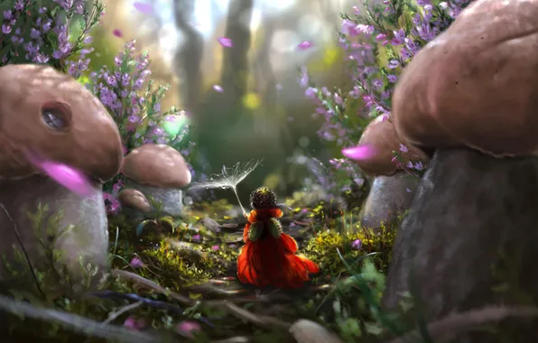 Picture forest, mushrooms, petals, art, girl, path, back, parashutik