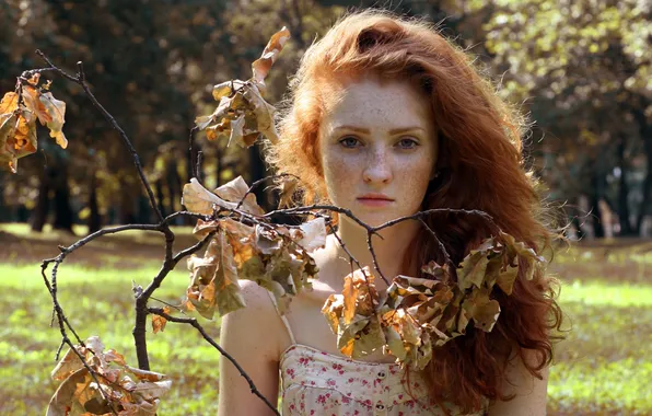 Freckles, red, oak