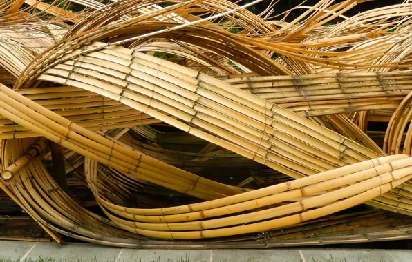Reflection, background, widescreen, Wallpaper, bamboo, wallpaper, pond, widescreen