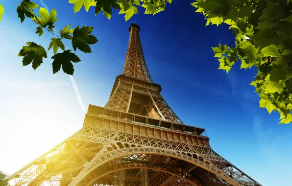 The sky, leaves, the sun, France, Paris, green, Eiffel tower, Paris