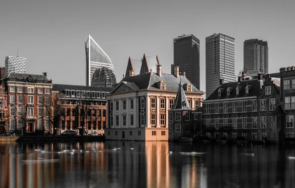 Art, channel, Museum, Netherlands, pond, art museum, Mauritshuis