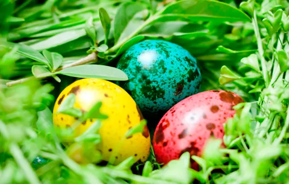 Greens, macro, eggs, Easter, socket, eggs, easter, painted eggs