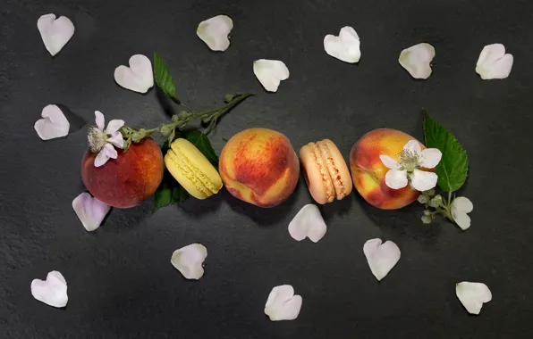 Leaves, flowers, petals, cookies, peaches, composition, macaroon