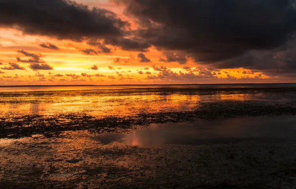 The sky, clouds, light, landscape, sunset, yellow, clouds, nature