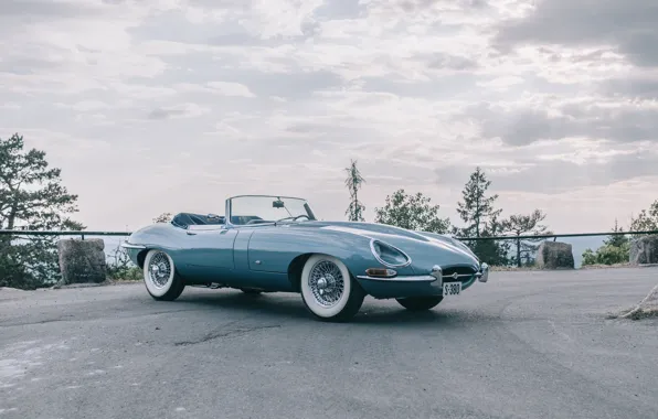 Jaguar, E-Type, Jaguar E-Type, 1961, front view