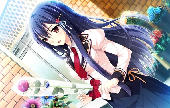 Picture girl, flowers, roses, anime, art