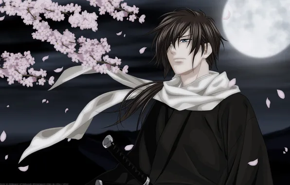 Picture night, the moon, katana, anime, petals, Sakura, guy, Hakuouki