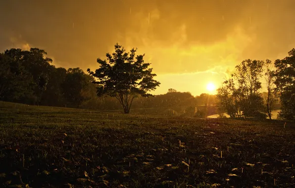 Water, drops, landscape, nature, photo, rain, mood