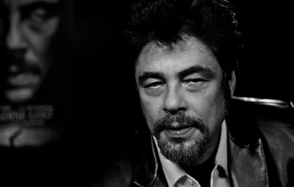 Picture portrait, Benicio Del Toro, Benicio del Toro, Benicio Monserrate Rafael del Toro Sánchez, Hollywood actor