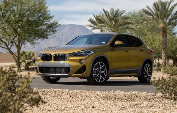 Crossover, 2019, BMW X2 M, Sport X, xDrive28i