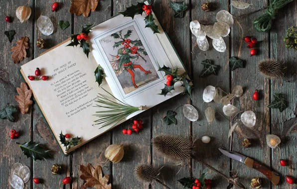 Picture elf, barb, book, needles, physalis, Holly, Holly, verse