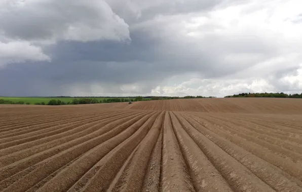 Field, earth, tractor, arable land, seeding