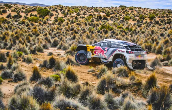 Sand, Sport, Speed, Race, Peugeot, Lights, Red Bull, Rally