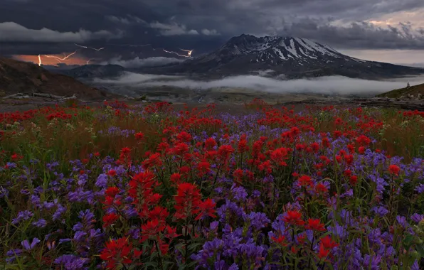 Flowers, mountains, clouds, zipper