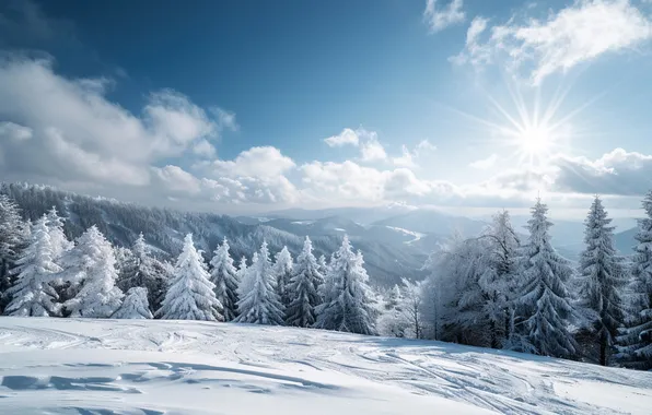 Winter, frost, field, forest, the sky, the sun, clouds, rays
