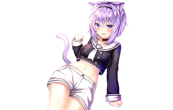 Girl, shorts, animal ears, anime, beautiful, short hair, purple eyes, pretty
