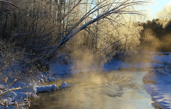 Picture winter, fog, river, morning