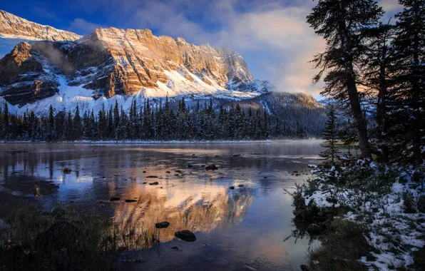 Autumn, reflection, lake, morning, Canada, Rocky mountains, Banff national Park, Bow