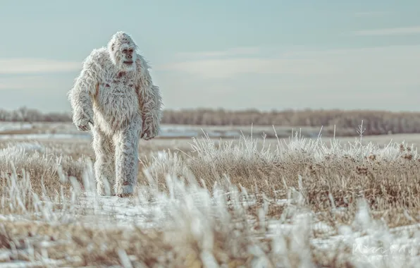 Winter, Field, Being, Snow, Digital art, Bigfoot, Yeti, Bigfoot