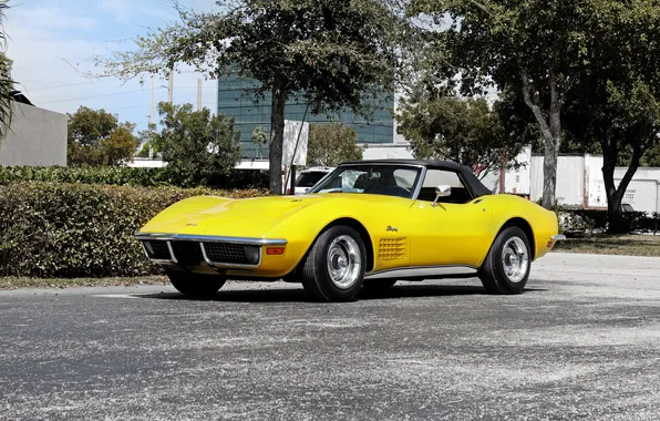 Picture Corvette, Chevrolet, 1971, Chevrolet, Stingray, Corvette