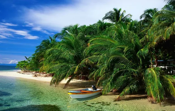 Picture sand, sea, beach, the sky, clouds, palm trees, boat, island