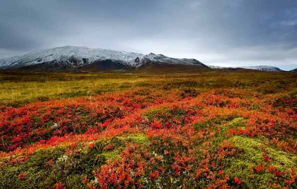 Grass, mountains, clouds, valley, meadow, Iceland, Snaefellsnes
