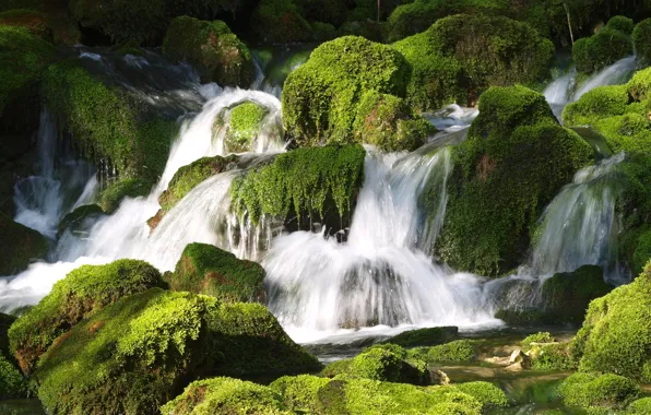 Picture stones, moss, stream, cascade