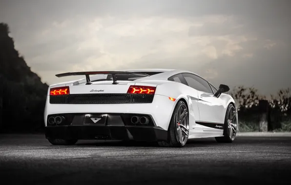 White, the sky, Lamborghini, white, gallardo, Superleggera, Lamborghini, vorsteiner