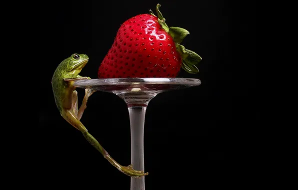 Picture frog, strawberry